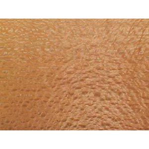 321011: Lacewood Veneer - 12 sq. ft.