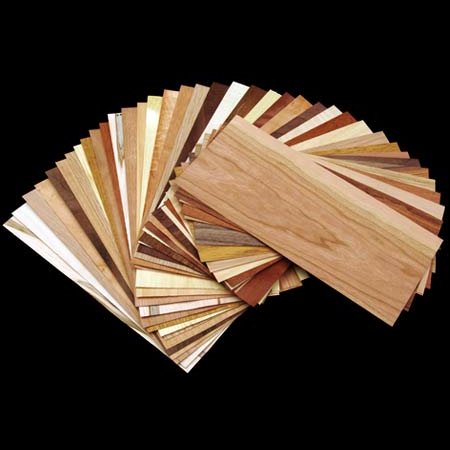 Samples of veneers fanned out