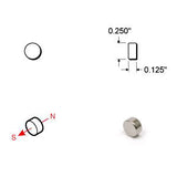 485651: Rare Earth Disc Magnets - 1/4 inch - Pack of 10