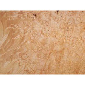321049: Maple Burl Veneer - 3 sq. ft.