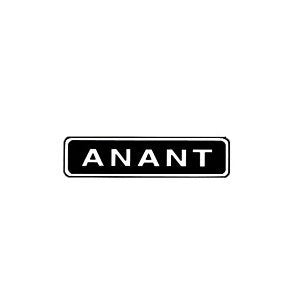 199231: Anant Lever Cap for No. 78 Rabbet Plane