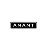 Replacement Iron for Anant #10 Bench Rabbet Plane