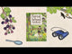 Forest School Handbook