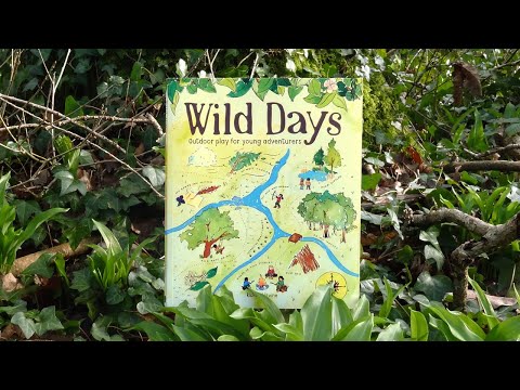 Wild Days - Richard Irvine