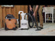 Mullet High Speed Cyclone Dust Collector
