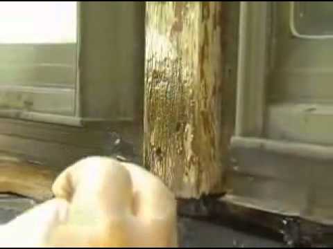 Abatron LiquidWood WoodEpox Wood Restoration Kit