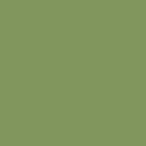195352: Old-Fashioned Milk Paint